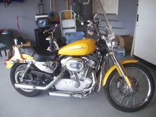 2005 Harley Davidson 883XL in Chantilly, VA