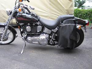 1999 Harley-Davidson Softail