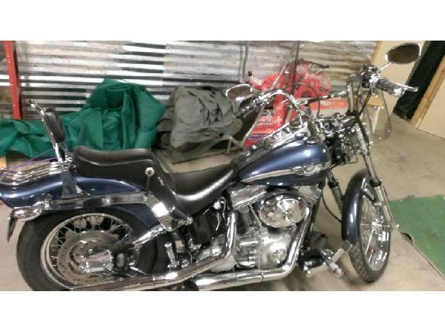 2003 Harley Davidson FXST Softail Standard Cruiser in Clay Springs, AZ