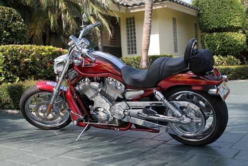 2005 Harley Davidson V-Rod Cruiser in Delray Beach, FL