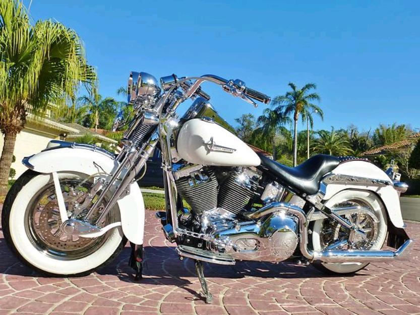 2000 heritage springer ~ 1-of a kind fully customized