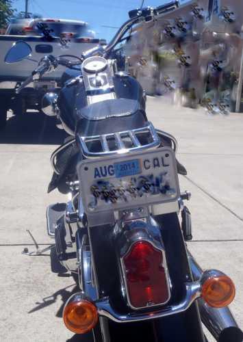 2005 Harley Davidson FLSTN in Hayward , CA