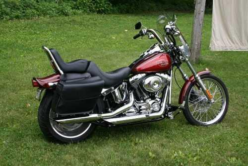 2008 Harley Davidson Softail Custom in Lawton, MI