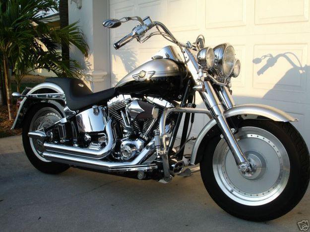 2003  Harley-Davidson : Softail
