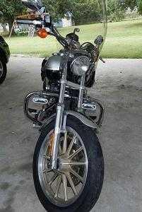 2003 Harley Davidson Dyna Lowrider FXDL in Bells, TN