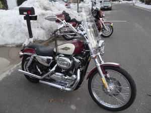 2007 Harley Davidson Sportster 1200 Custom in Ridge, NY