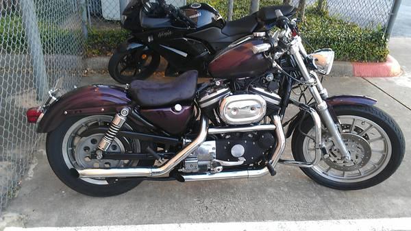 Custom 2002 Harley Sportster 883