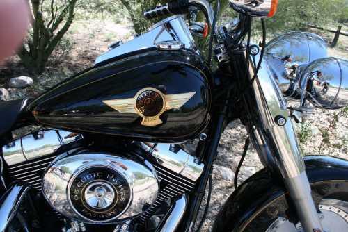 2005 Harley Davidson Fatboy Anniversary Edition   in Tucson, AZ