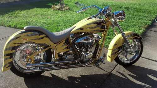 2002 Harley Davidson FXSTI Softail Standard in Ronhert Park , CA