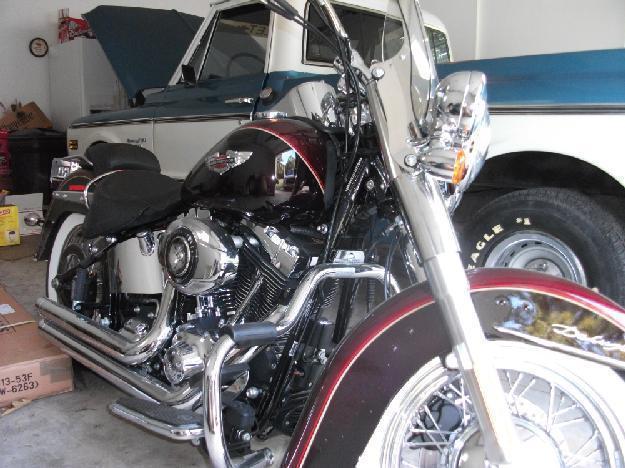 2014 Harley Davidson FLSTN Softail Deluxe in Stafford, MO