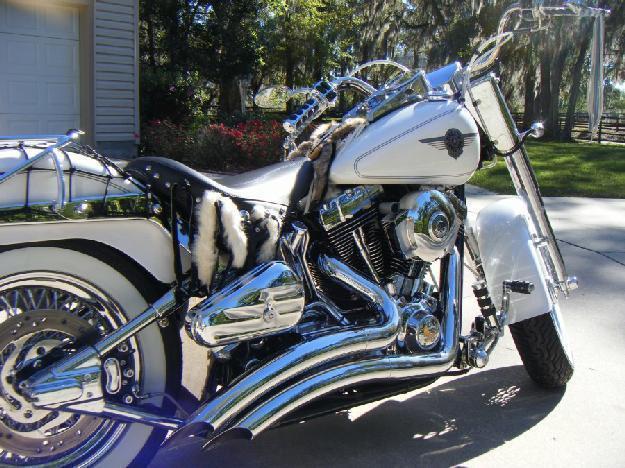 2004 Harley Davidson FLSTF Fat Boy Custom in , FL