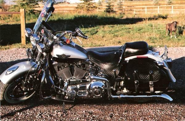 2003 Harley Davidson FLSTS Heritage Springer in , MT