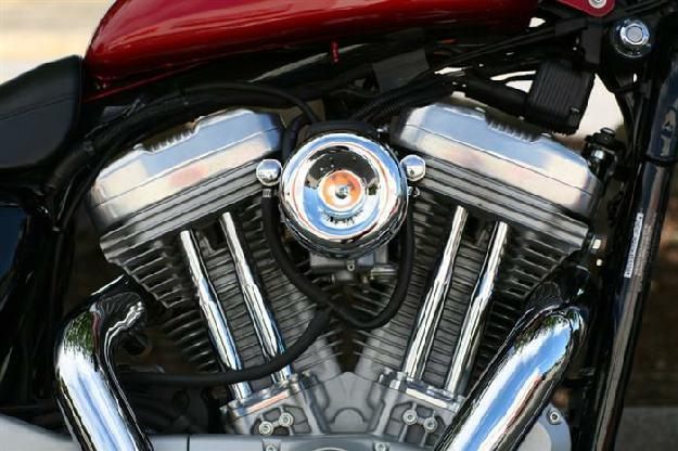 2005 Harley-Davidson XL883C - Sportster 883 Custom - MotoSport